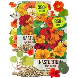 Seed Needs Nasturtium Seeds for Planting Edible Flowers | Bulk Collection Set of Jewel Blend & Double Gleam Nasturtiums | Colorful Blooms Attract Pollinators | Trailing and Bush Varieties