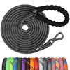NTR 15FT Training Leash for Dogs, Nylon Rope Dog with