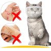 Cat Muzzle, Cat Mask, Mesh Mouth, Cat, Simple, Transparent, Breathable,