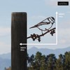 METALBIRD - Blue Tit - Outdoor Garden Ornaments in Corten