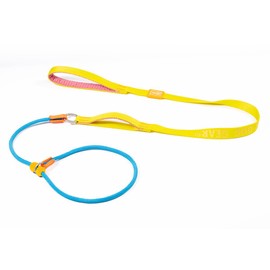 HOWGO Dog Slip Lead Dog Leash,Training Leash,Cinch Leash, No-Pull Slip Leash and Collar,Heavy Duty&Durable,Padded Handle,for All Breeds(Multi-Colored, 5FT)