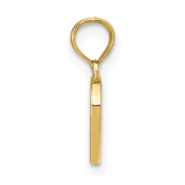 14k Yellow Gold 3D Polished Enameled Heart Charm Pendant