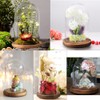 RayinblueTransparent Glass Plant Display Cloche Bell Jar Dome With Bamboo