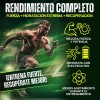 Creatina Electrolitos, Vitaminas Testo Rocket