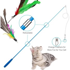 YJSPARKK 13PCS Cat Feather Toys,Interactive Cat Teaser Toy,2 Retractable Wands 11 Replacement Heads Refills for Indoor Kitten to Chase and Exercise
