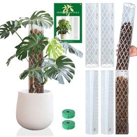 Sisher 6Pcs Plastic Moss Pole D Shape Moss Pole 16 Inch Moss Sticks for Indoor Plants Climbing Monstera Plant Support Work with Sphagnum Moss
