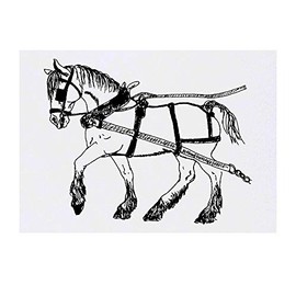 'Cart Horse' Temporary Tattoo - Water Resistant, Skin-Safe, Non-Toxic Transfer (TO00025508)