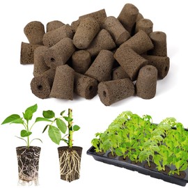 Bigmeta 50 Pcs Rooting Sponges - Starter Plugs for Seedlings or Cuttings, Rapid for Soil, Tray or Planting Pods Plant Rooter, Promotes Herbs Vegetable Flowers Growth
