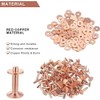 Copper Rivets and Burrs Set, 40 Sets Copper Rivets Leather