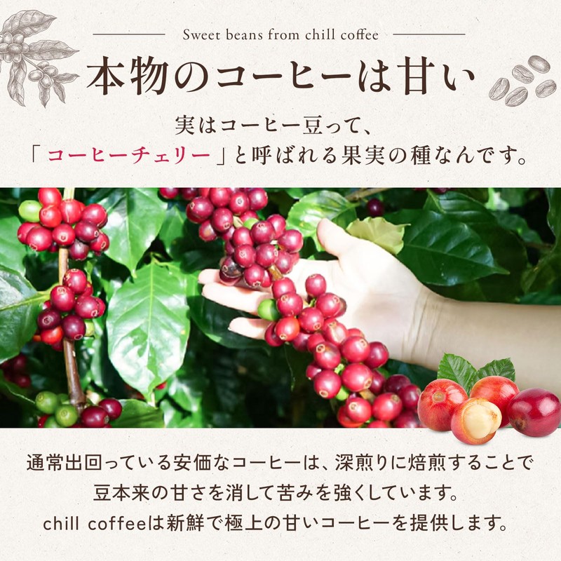 chill coffee Geisha Honey Costa Rica Premium Grade SHB Coffee