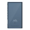 PGA Premium Style Premium Style WALKMAN NW-A100 Glass Tough Case