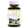 Cellavita Hyaluronic Acid Vita Capsules Vegan, Pure, Natural, Vegetable (180
