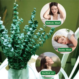 20 Pcs Preserved Dried Eucalyptus Stems, 17" Natural Fresh Eucalyptus Branches for Shower, Real Plant for Vase Filler, Dried Flowers Arrangement, Floral Home Decor