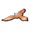 PatchStop - World's Largest Patch Store Flying Eagle With Flaming