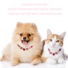 HOWWFALY Dog Collar and Cat Collar Gold Chain Necklace Stainless