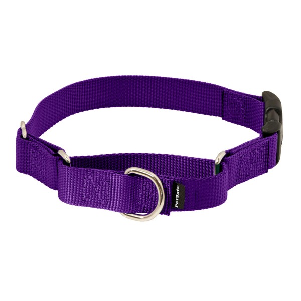 PetSafe Martingale Collar with Quick Snap Buckle, 1" Large, Deep