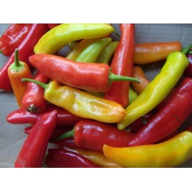 Southeast Seeds Hungarian Wax Hot Pepper Seeds, Hot Banana Pepper, NON-GMO, Variety Sizes - 100 Seeds
