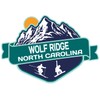 Wolf Ridge North Carolina Ski Adventures Souvenir 2 Inch Vinyl