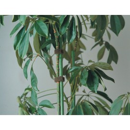 Trusco Magic Band Fastening Tape, Double-Sided, 0.8 inches (20 mm) x 4.9 ft. (1.5 m), Orange