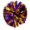 13'' Cheering Squad Spirited Fun Cheerleading Kit Cheer Poms Pack