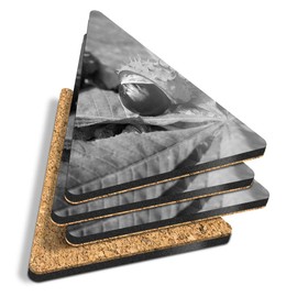 4 x Triangle Coasters - BW - Conker Horse Chestnut Tree Cork Backed MDF Glossy Tea Coffee Accessory #38083