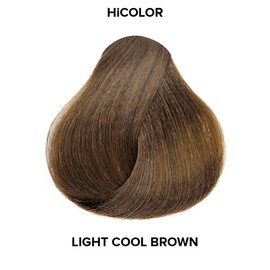 L'OREAL TECHNIQUE HiColor Browns & Blondes Permanent Hair Color - Lifts Dark Hair in One Step Leaving No Brassiness, Rich and Smooth Creme Formula, Intense & Long-Lasting, H2 Cool Light Brown