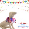 Lionheart glory American Flag Dog Collars Elastic Fancy Holiday Accessory
