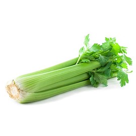 Golden Self-Blanching Celery Seeds - Heirloom