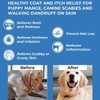 BestLife4Pets Demodectic Mange Relief for Dogs All Natural Healthy Coat