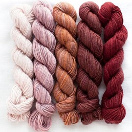 Manos Del Uruguay Fino Mini-Skein Sets 5 Eleanor, 100g (5 x 20g skeins)