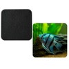Set Of 4 Zebra Angel Fish Tropical synthetic Leather Square