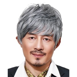 TefuRe MEN-002-MP-Sv Men's Wig, Professional, Short Wig, Simple, Heat Resistant, Fiber, Matte, Mixed Wig, Includes Net, One Size Fits Most, Natural Thin, Hair Loss, Gray Hair, Hair Growth, Layered