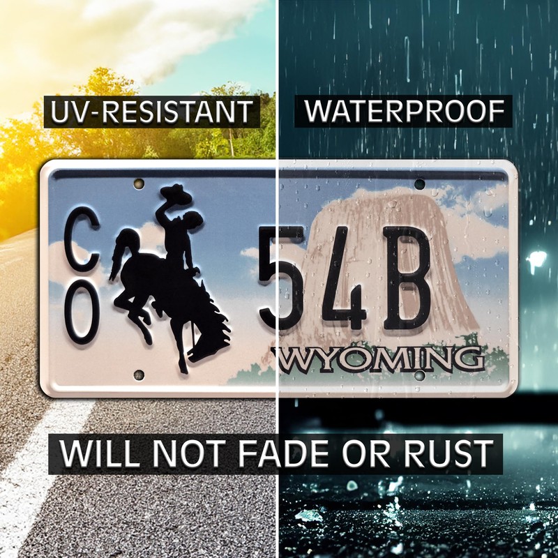 Celebrity Machines | Longmire | CO 54B | Vanity Plate,