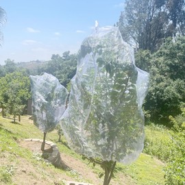 10x10Ft Large Tree Netting for Fruit Trees Keep Birds Squirrels Cicadas and Small Fly Out,Ideal Covers for Cherry Fig Blueberry Bushes Guava Peach Apple Trees(Zippers on Both Sides)
