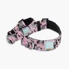 DF Co. Tactical Dog Collar | Comfortable & Secure with