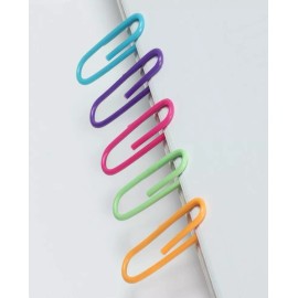 Pen Bear Paper Clips, 100Pcs Paper Clips, Assorted Colored Coated