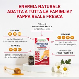 Equilibra Integratori Alimentari, Pappa Reale Fresca, Integratore con Vitamine del Gruppo B, Arricchito con Miele Millefiori, Adatto Anche ai Bambini Sopra i 6 Anni, 10 Flaconcini Pronti da Bere