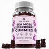 TrueSeaMoss Sea Moss Gummies with Elderberry, Burdock Root and Bladderwrack