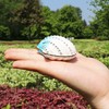 Waltz&F Seashell Ring Holder Trinket Box