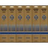 GONESH NAG CHAMPA Nag Champa Sticks, 20 Count X 6 Pack (120 Sticks)