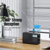 Raddy RF206 Shortwave Radio | FM/AM/SW | 8W Speaker |