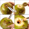 2 PCS Coconut Opener Tool Set Coconut Meat Remover Stainless