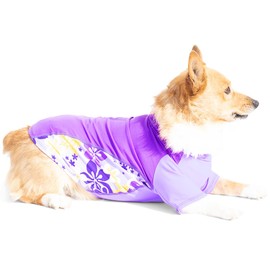 PlayaPup Dog Sun Shirt, USA Made (UPF 50+), Uva, Medium