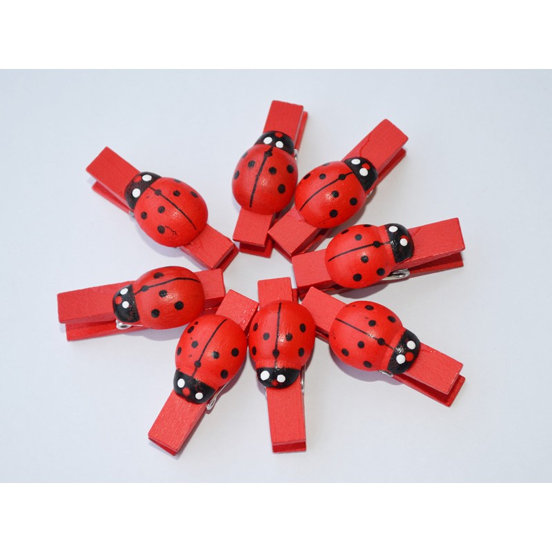 C.X.Y. 48 Wooden Clothes Pegs with Ladybird for Labelling Places,