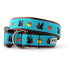 The Worthy Dog Squirrelly, Squirrel and Acorn Adjustable Designer Pet Dog Collar, Teal, L