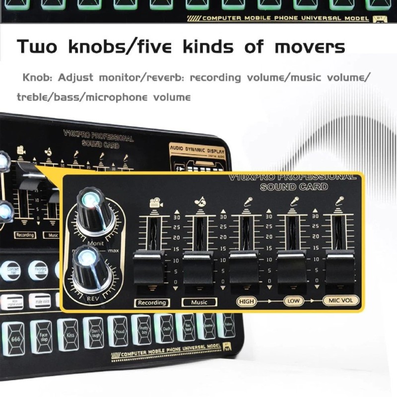MadHornets V10 Live Sound Card & M800 Condenser Microphone for