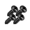 Black Number Plate Screw Head Stainless Steel Screws with Rounded