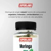 Suplemento Moringa 500mg Superlabs Nutrition 100 Cápsulas