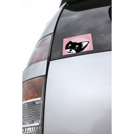 To Chihuahua Long Black Tan & White Dog Sticker Pink Back