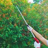 Prunrt Tree Trimmer, 4 Foot Pole Pruner, Long Reach Pruning